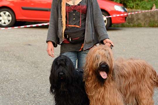 98d962f038f966bbfc452af74cb74ad1.jpg