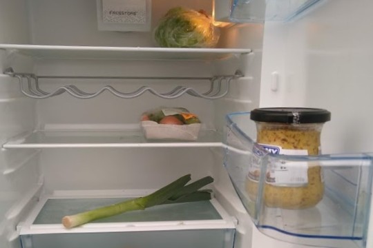 Kühlschrank_innen_zugeschnitten
