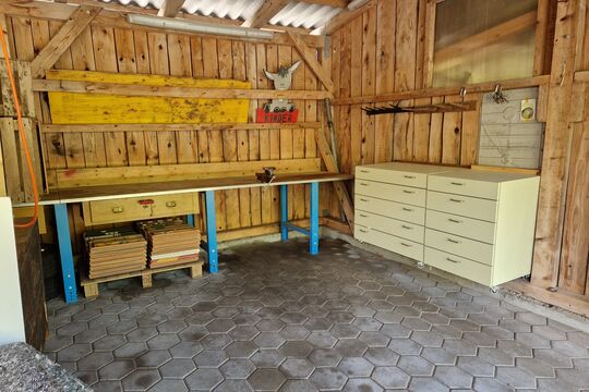 20250615_103648.jpg