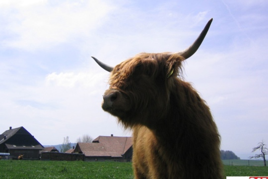9968ab320c39300bcc7557b54b7dbf27.jpg