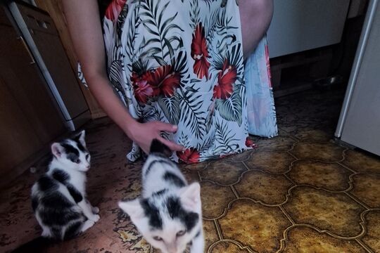 20260618_170155.jpg