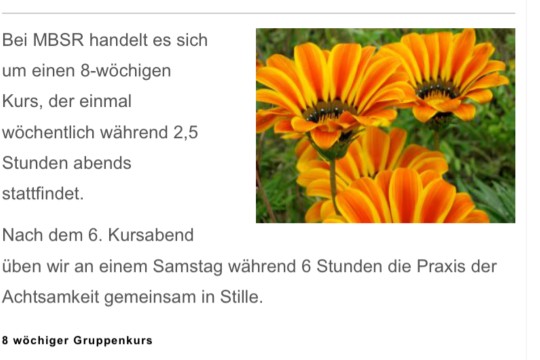 IMG_4724.jpeg