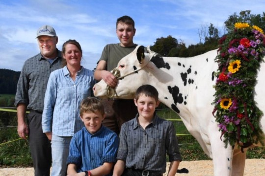 Kuh Familie Salzmann-2