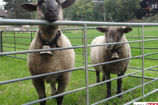 9cebeef48d3f826586d4c498f8d3e6b7.jpg
