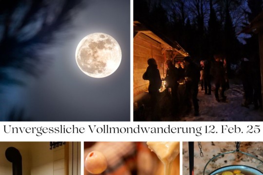 Unvergessliche Vollmondwanderung 12. Feb. 25 (1).jpg