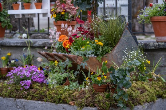 2023-04-06_Osterbrunnen_Nr._09c