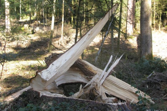 februar wanderung 3