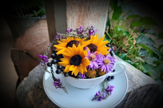 20200819_180221.jpg