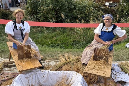 Bild Altes Handwerk, volles Dorf