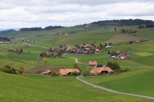 Arni1