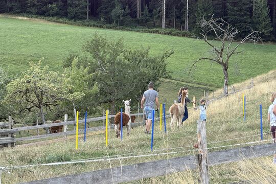 IMG_7389