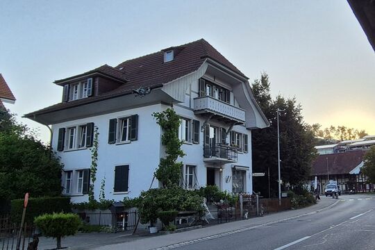 Drache in Boll_Auflösung