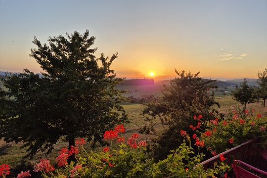 Sonnenuntergang.jpg