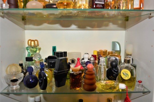 Parfum Vitrine 3