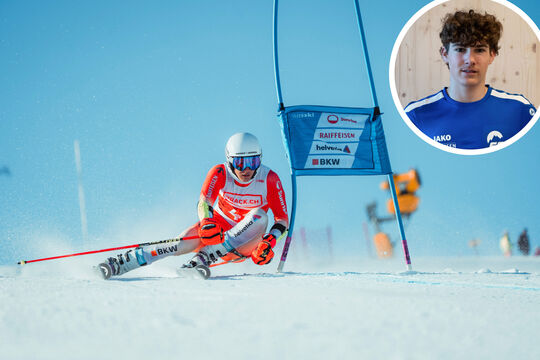 Levin Gerber-High-Quality