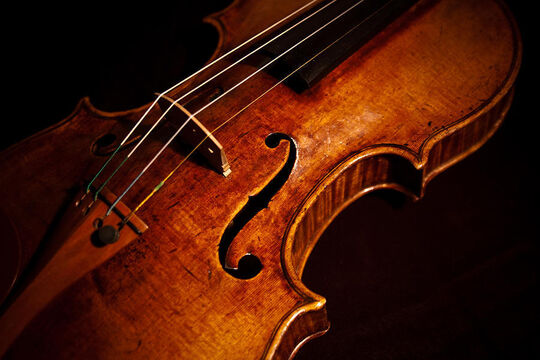 violine-3.jpg