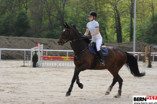 a1cda491adf1de087717478bea34bb37.jpg
