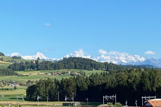 IMG_9697.jpg