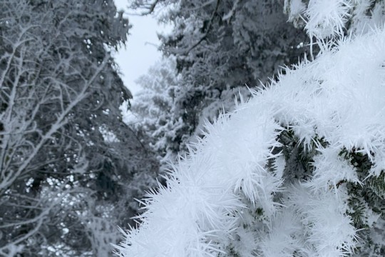 7a7cee35318a95bb-photo.jpg