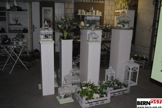 a35757daae55837a8e2a9cb2f36db72e.jpg