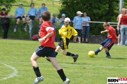 a35cec090b98f58cda5219edbe1a878b.jpg