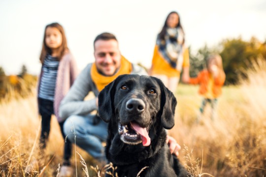 AdobeStock_235879840.jpeg