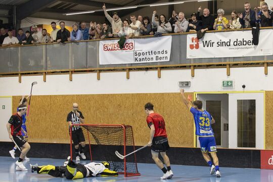 Lions - Corcelles.jpg