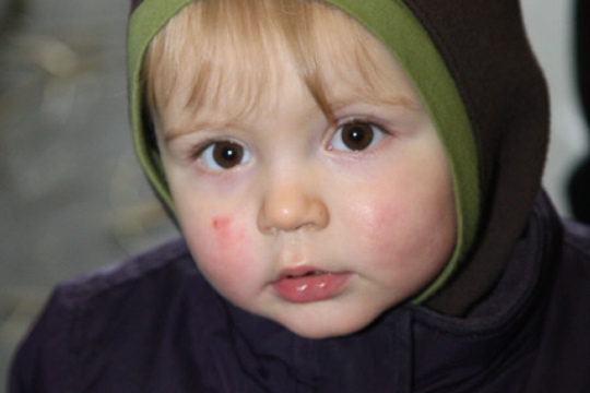 a3df81975494204ecf0acf28bb64fbec.jpg