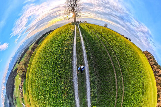 Bild So zeigt sich der Fr&uuml;hling