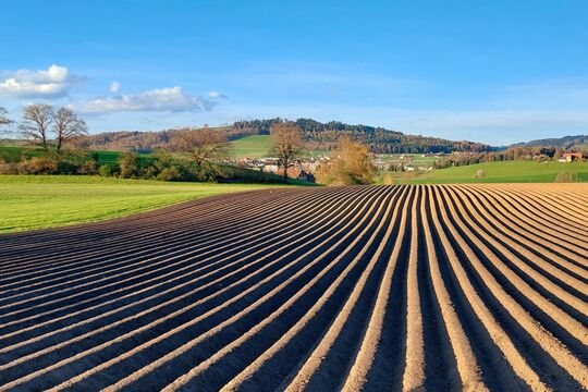 Bild So zeigt sich der Fr&uuml;hling