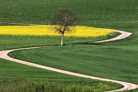 Bild So zeigt sich der Fr&uuml;hling