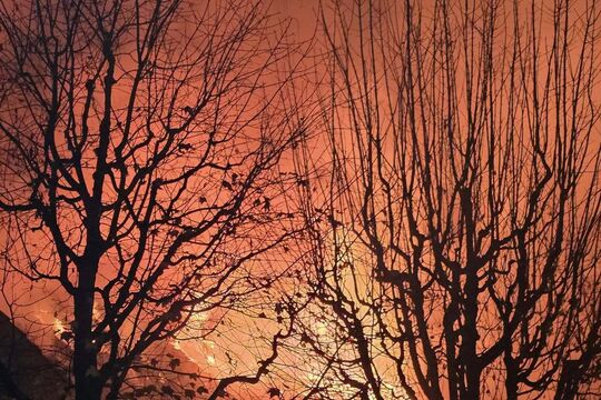 583986754_1210158304505985_6854073792507852471_n