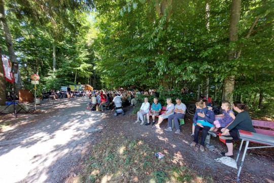 IMG-20220801-WA0100
