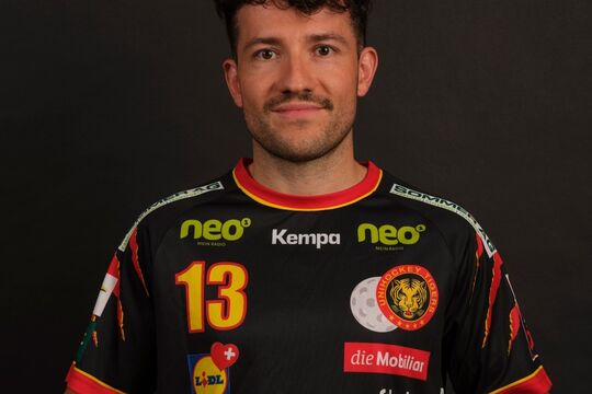 Schlegel