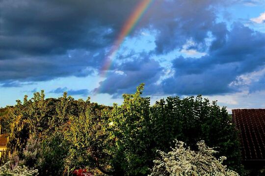 signal-2025-05-22-085026