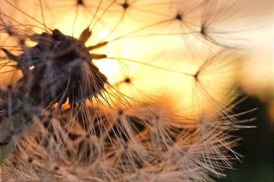 signal-2025-05-22-085056