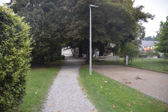 bild1