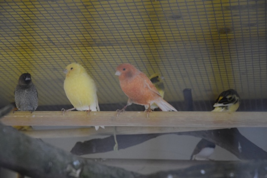 bild2