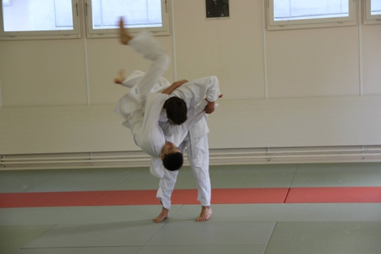 a53c60f6e4bed10c1cdc13ada63678e4.jpg