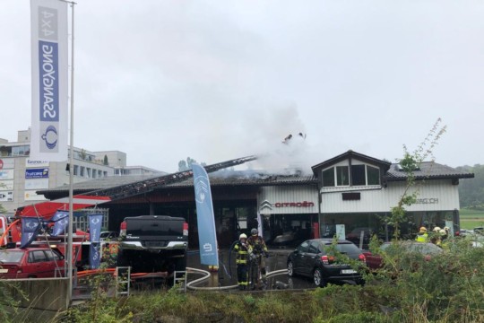 brand6
