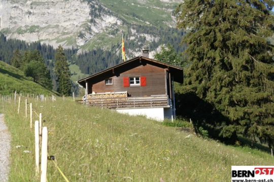 a5c80fd170c2f4b01013972405efef81.jpg