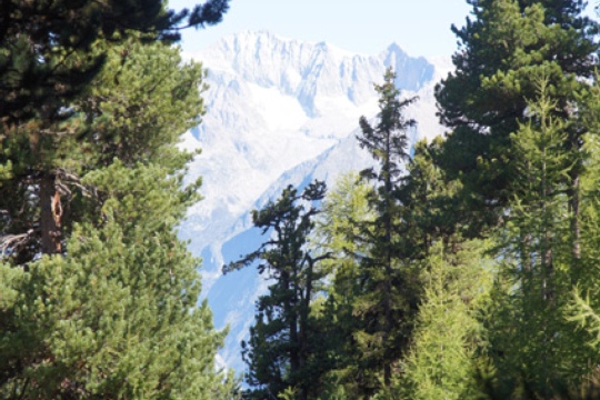 a5d90e01870481bf92d89f8503f5c3e0.jpg