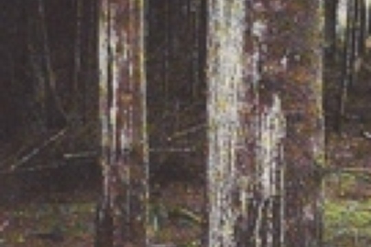 a5dfec95e343ed7b9f0ba87c72b9cf0d.jpg