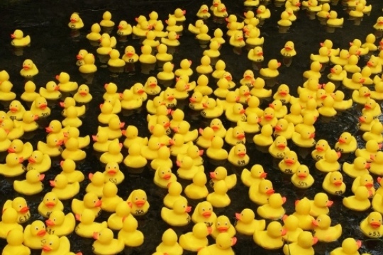 a66e1e8a808f9a575f258ba723ed8b93.jpg