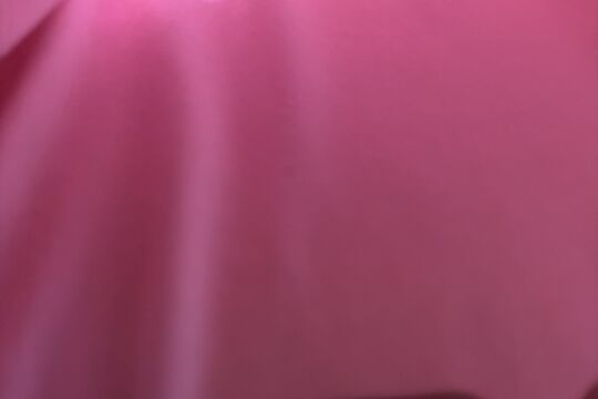 IMG_7679.jpeg