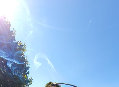 20250918_141237.jpg