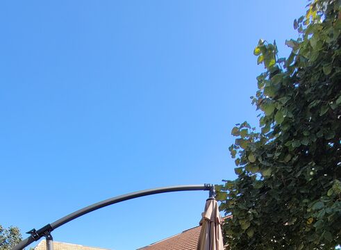 20250918_141356.jpg