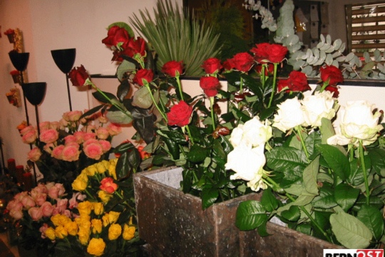 a87ad9aec29fabc98b240100b279ef61.jpg