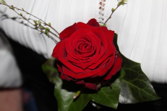 IMG_8362.jpg