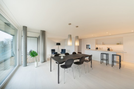 3.5-Zimmer Musterwohnung Cluster 10